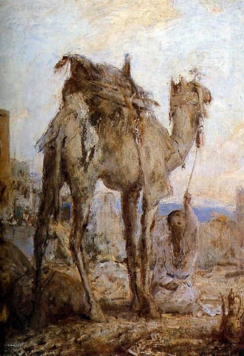 Bauer Marius The camel Sun . , 