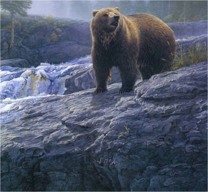 DanielSmith RockyCascade ec. , 