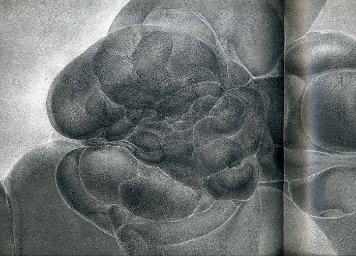 img384. ����, �����