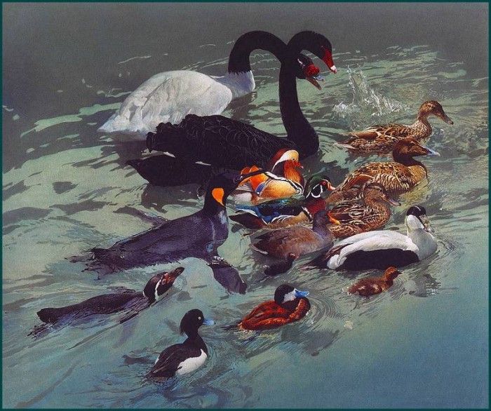 lrsHarrisChingRay-TheFlotilla. ,  