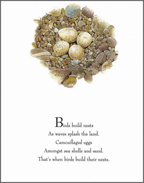 pa TonyOliver BirdsBuildNests 12a. , 