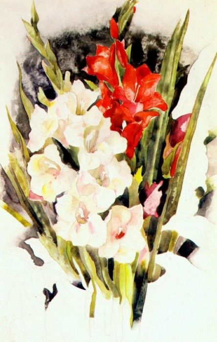 demuth gladiolus c1923. , 