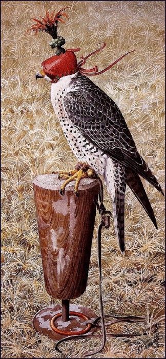 43609. Tunnicliffe, 