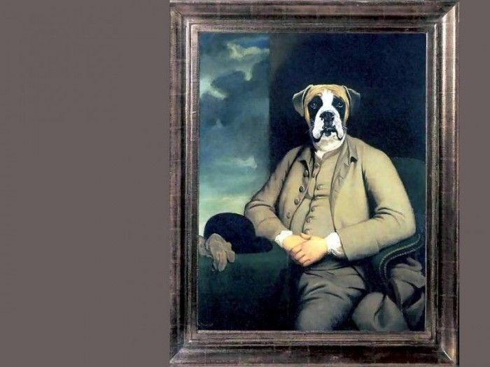 dog portraits csg017 le comte de montecrisco. , 