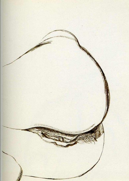 Freud paper 40. , 