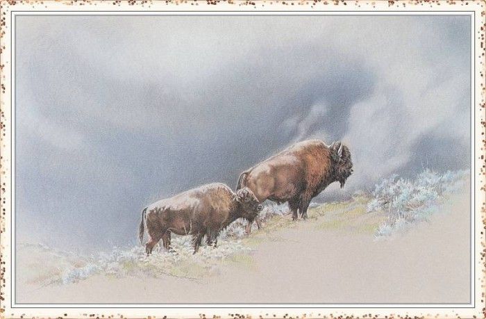 SimpsonRogue StormClouds-We. �������, Rogue