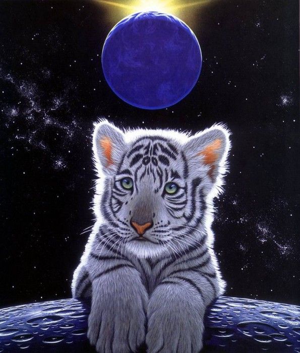 09. Schimmel, ������