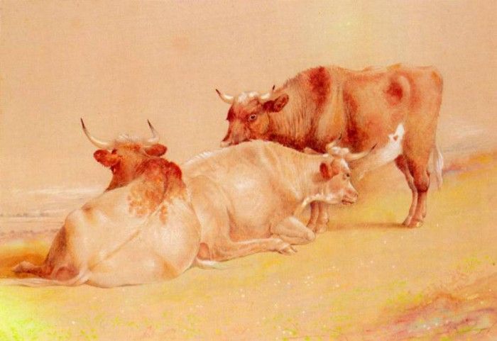 Huggins William Cattle Resting(1). ,  