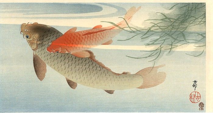 pic02253. �����