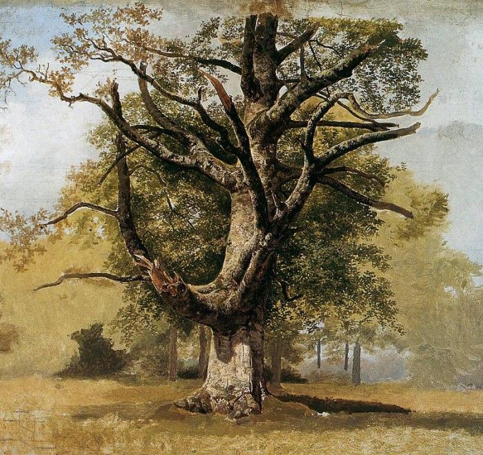 Koekkoek Barend C Beech tree Sun. Koekkoek, Barend 