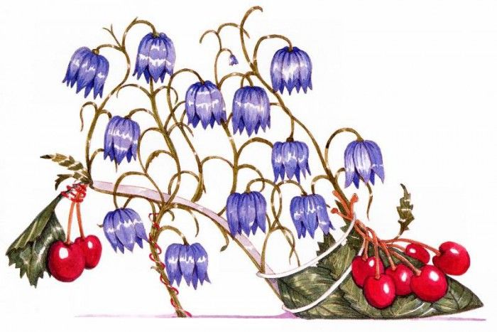 Dennis Kyte - Fritillaria & Cherry, De. ����, ������