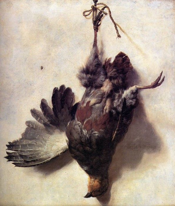 Weenix Jan Baptist Dead partridge Sun. Weenix, -