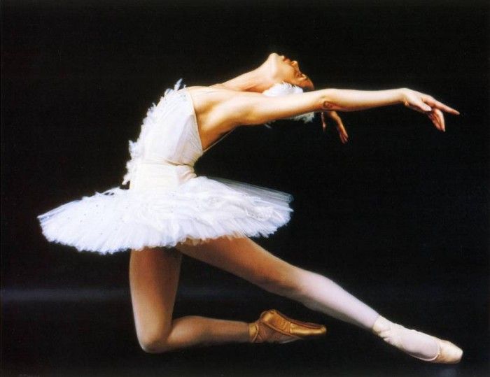 Hofmann, Douglas - Dying Swan (end. , 