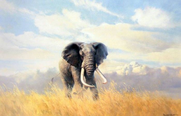 Grant Donald A Bull Elephant. , 