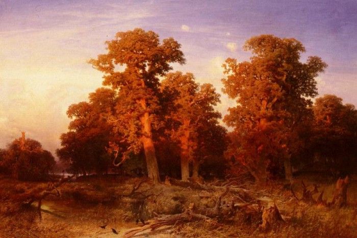 Schaeffer August Sunset In A Hungarian Forest. , 