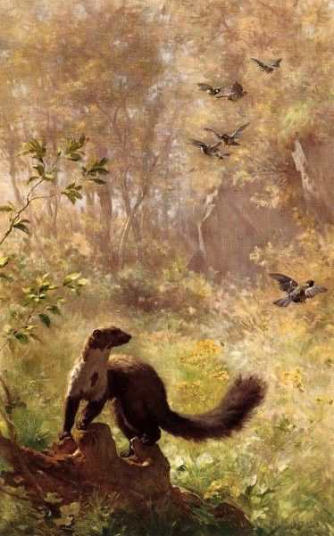 Furet, Francois - Weasel on Watch (end. ����, �������