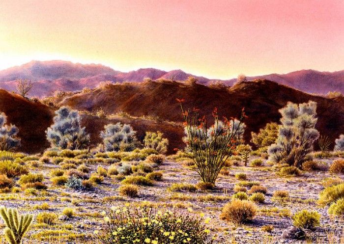 Aaw095 Joseph Salamon Desert Dawn sqs. , 
