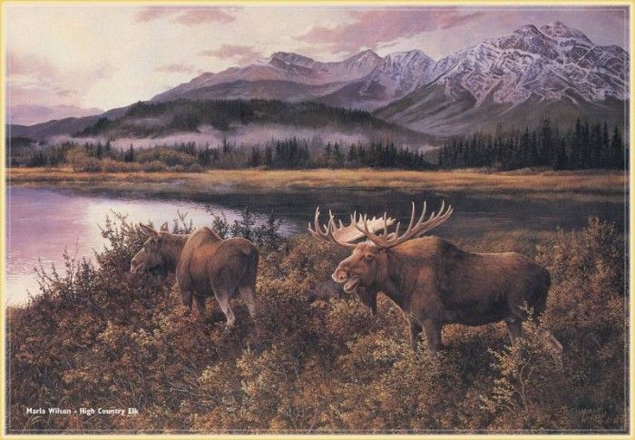 WilsonMarla-High Country Elk-WeaRSCC. , 