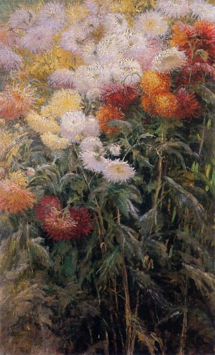 Caillebotte Gustave Clump of Chrysanthemums Garden at Petit Gennevilliers. , 