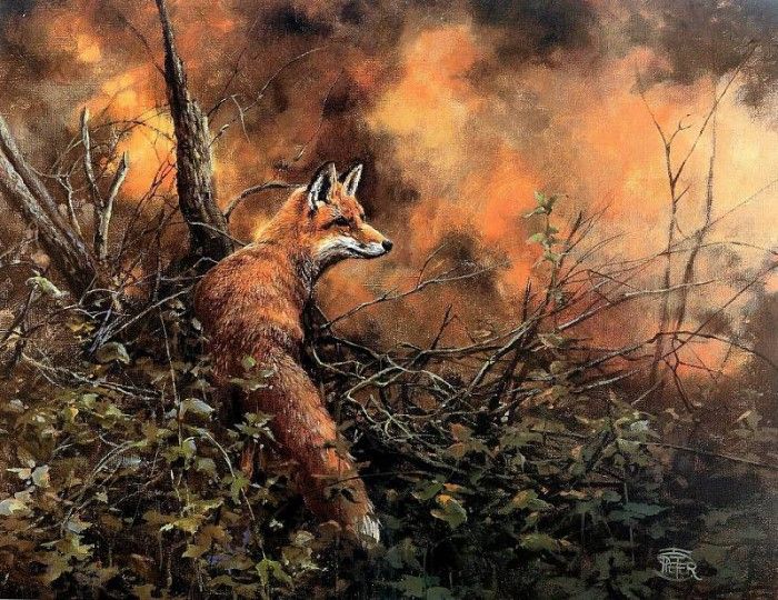 Verstappen Pieter Nature 23 Sun. Verstappen, �����