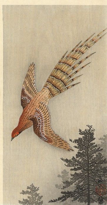 pic09399. �����