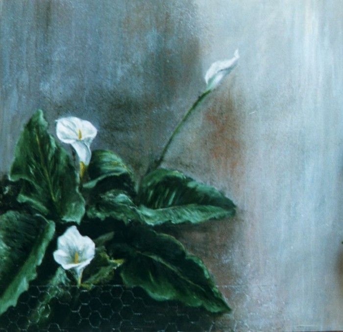 30309. �������, IC