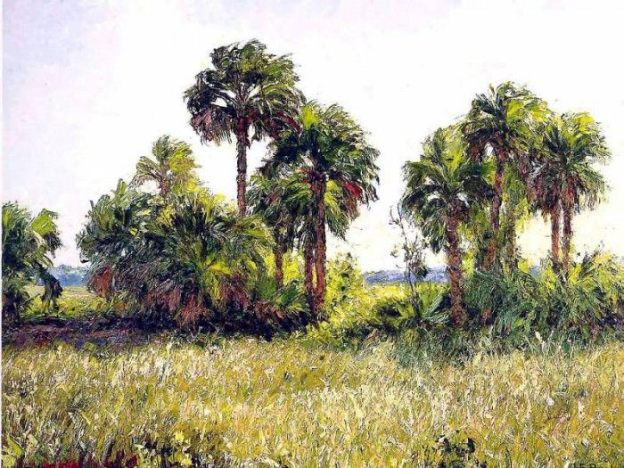 gentle breezes csg002 palmetto hammock. ,  