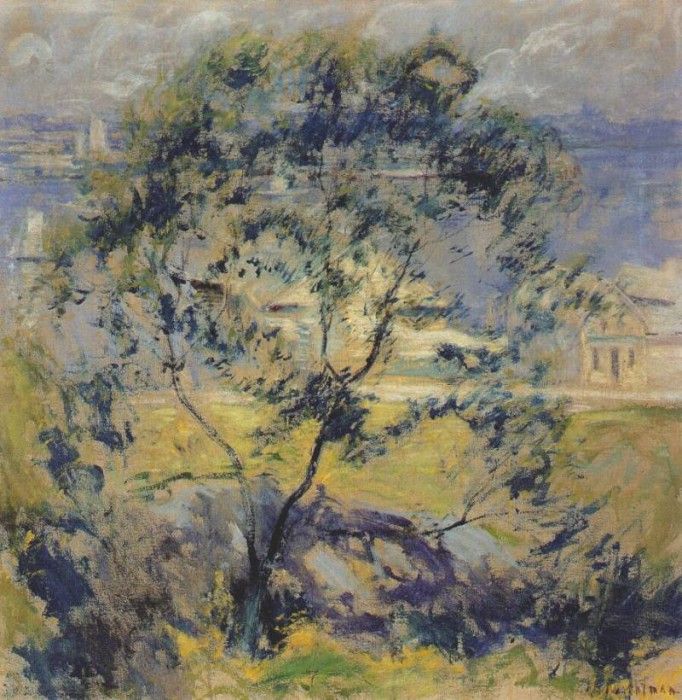 twachtman the wild cherry tree c1901. Twachtmann,  