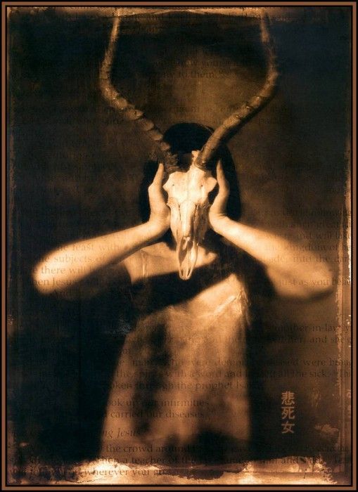 D50 Ward Chad Michael Black Rust 46. ����, ��� �����