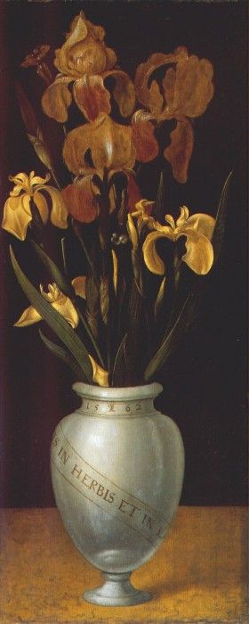 ring vase-i (reddish brown and yellow iris blossoms) 1562. ������