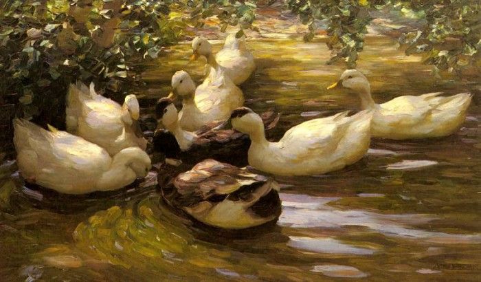 Koester Alexander Max Enten In Wasser Unter Birken. , 