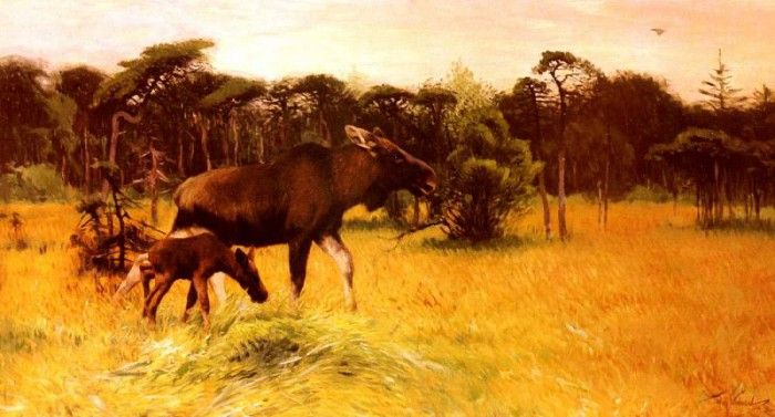 Kuhnert Wilhelm Moose With Her Calf In A Landscape. Kuhnert, 