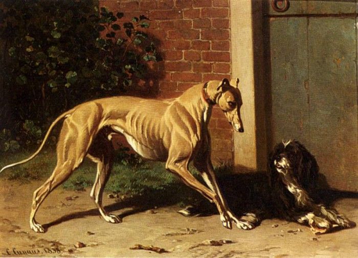 Cunaeus Conradyn A Greyhound And A Shepherd Dog. , Conradyn