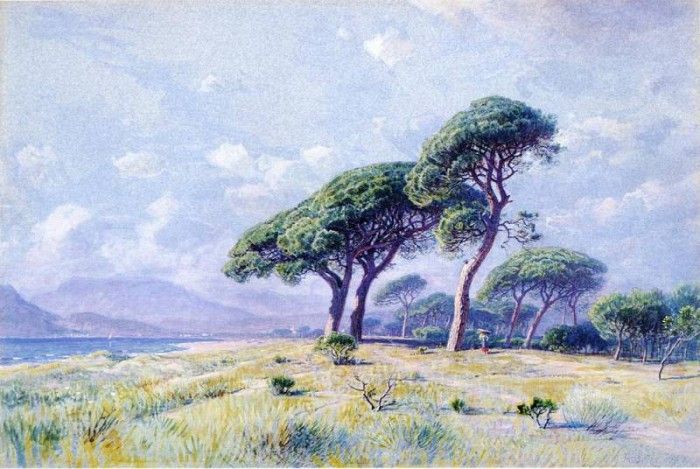05172. Haseltine,  