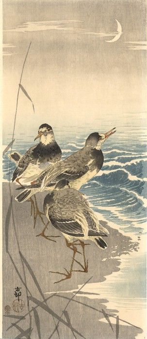 pic09278. ����, ���� �����