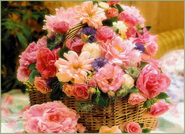 pa SimonKayne BeautifulFlorals 08. Kayne, 