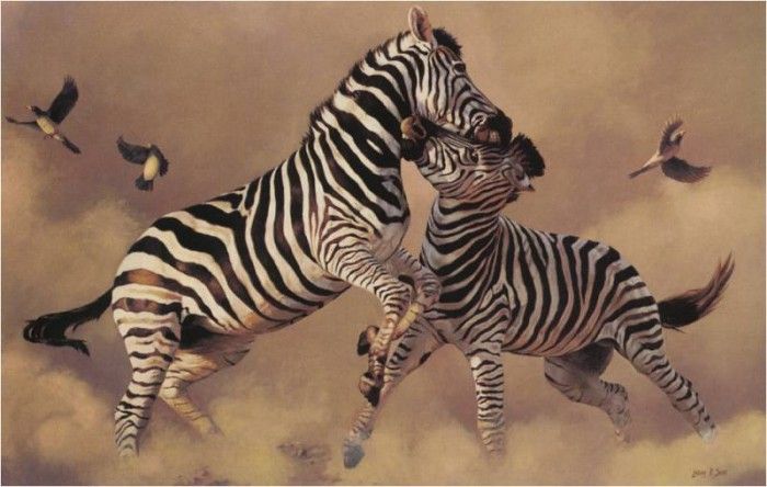 LindsayBScott Zebras TheContenders ec. ,  B