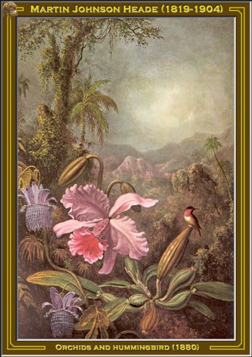 Martin J Heade-Orchids And Hummingbird (1880) Po Amp 029. ,  