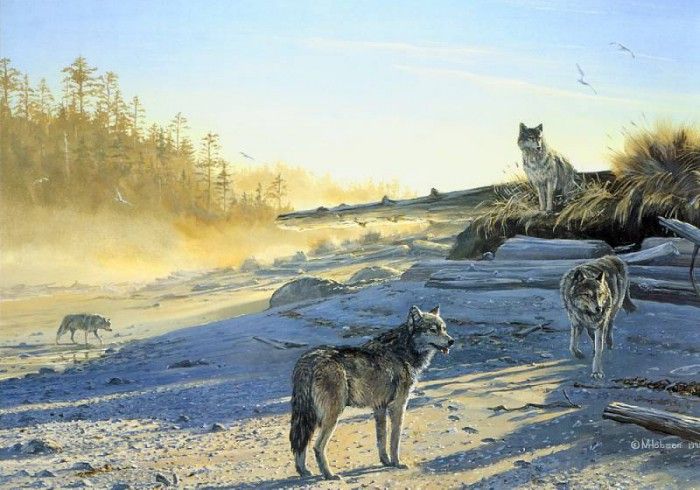 MarkHobson MorningShadows ec. , 