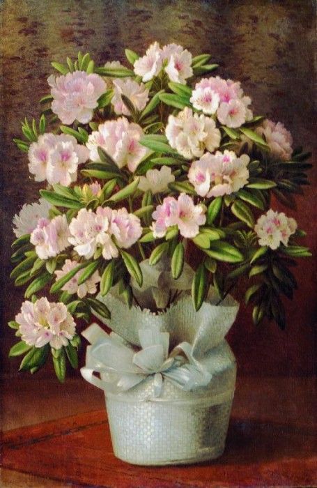      93 x 62 .    (1854-1924)