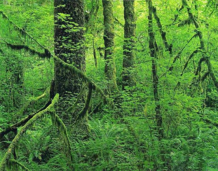 File4901. ����� ������ - ����� (���)