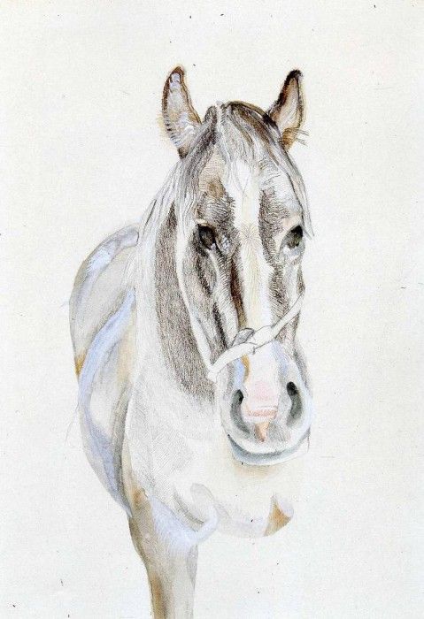 art 251. �����, ������