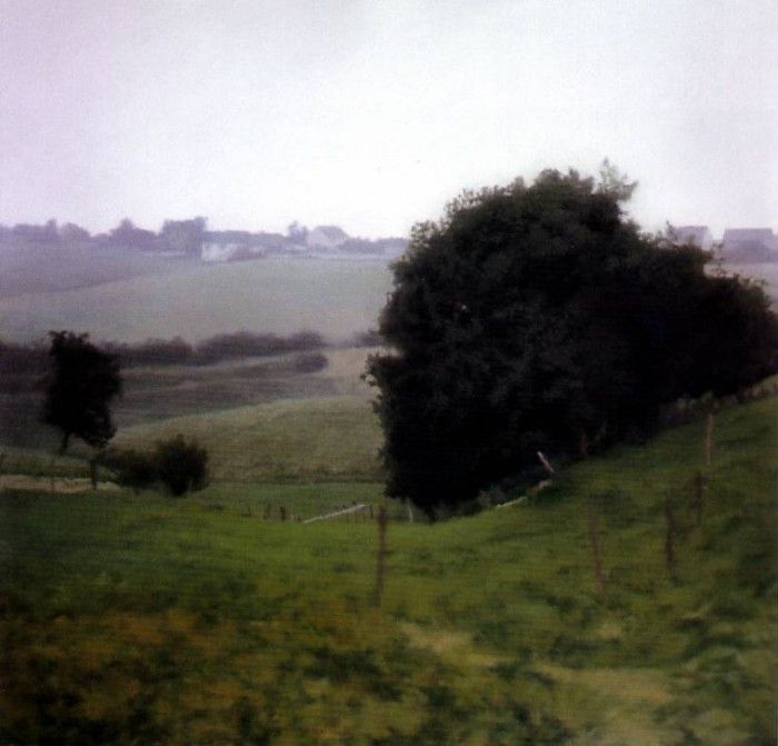 richter meadowland. , 