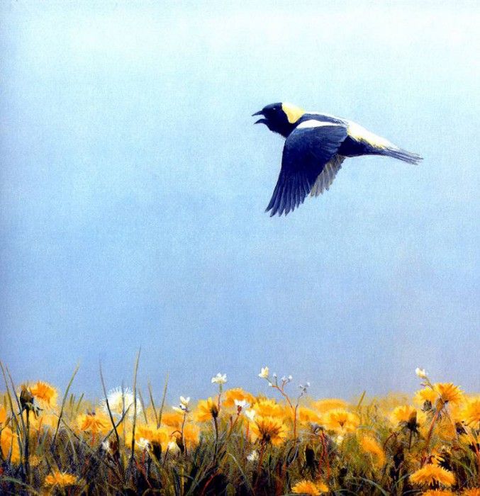 Birds 38 Summer Song--Bobolink, 2001 Robert Bateman sqs. Bateman, 