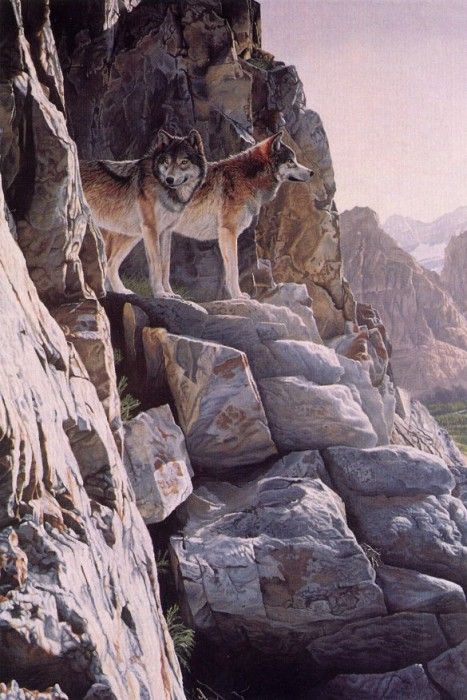 Parker, Ron - Valley Lookout (end. , 