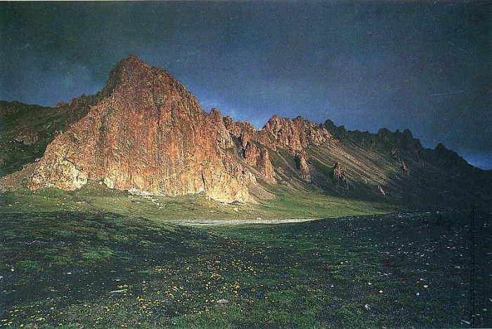 Funny 242. ����� ������ - ���� �����