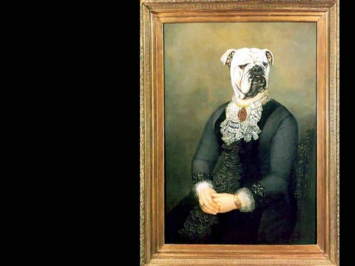 dog portraits csg060 madame sophie argent. , 