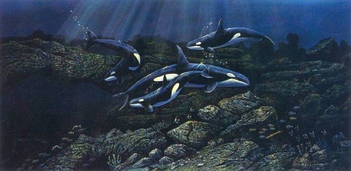 kb Nelson RL Orcas. Nasmith, 