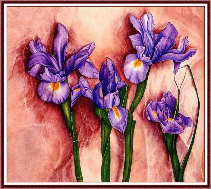 bs-flo- Carol Inouye- Japanese Irises. , 