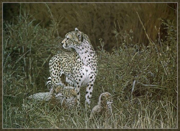 cr LeslieDelgyer-01-Catnap. Delgyer �����